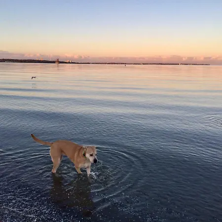 Haus Am Heidebeck Apartamento Scharbeutz