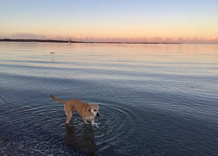 Haus Am Heidebeck Apartman Scharbeutz
